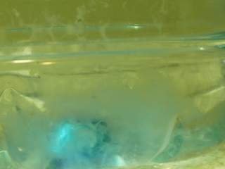 P1010185.JPG