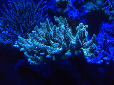 IMG_20120611_200912.jpg