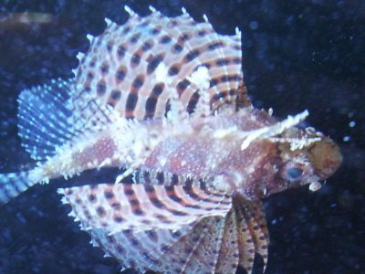 20120612_142023.jpg