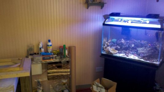 2012-07-04_11-21-45_999.jpg