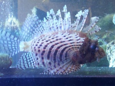 20120612_142607.jpg