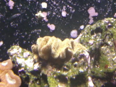 IMG_20120705_103950.jpg
