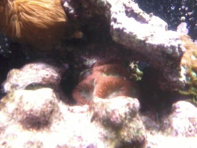 IMG_20120705_125233.jpg