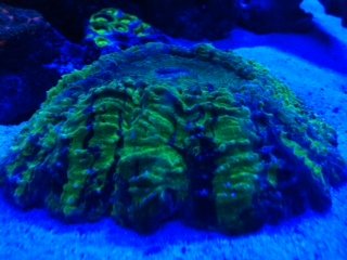 photo (13).JPG