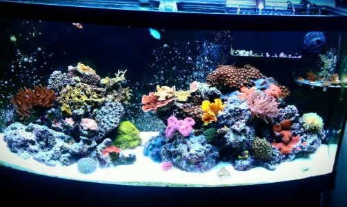 IMAG0503-1.jpg