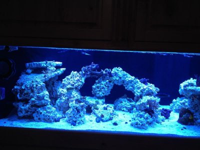 IMG_0945.jpg IMG_0945.jpg