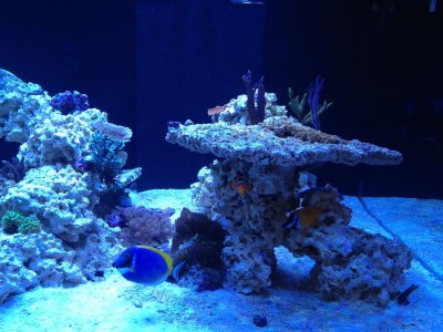 IMG_0971.jpg IMG_0971.jpg