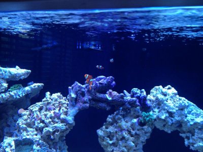 IMG_0987.jpg IMG_0987.jpg