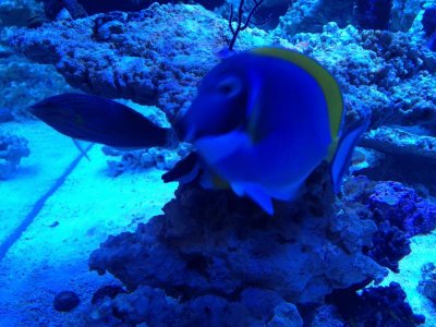 IMG_0980.jpg IMG_0980.jpg