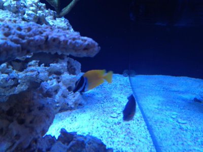 IMG_0983.jpg IMG_0983.jpg