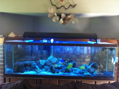 iphone import 1276.jpg