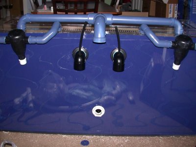 DSCN4145.jpg