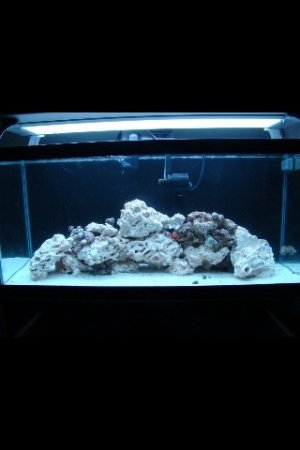 ImageUploadedByTapatalk1339721563.987762.jpg ImageUploadedByTapatalk1339721563.987762.jpg