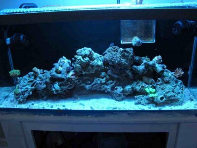 ImageUploadedByTapatalk1339727418.860955.jpg ImageUploadedByTapatalk1339727418.860955.jpg