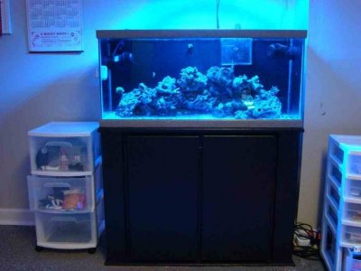 ImageUploadedByTapatalk1339727440.601401.jpg ImageUploadedByTapatalk1339727440.601401.jpg