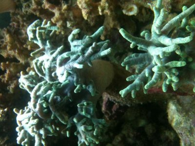 IMG_0375.jpg