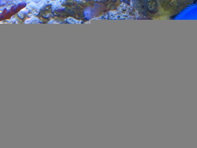 IMG_0173.jpg