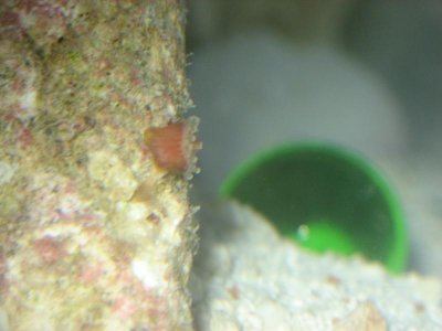 IMG_0834.jpg