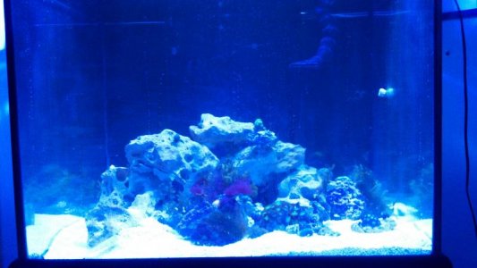 2012-06-16_22-23-18_84.jpg