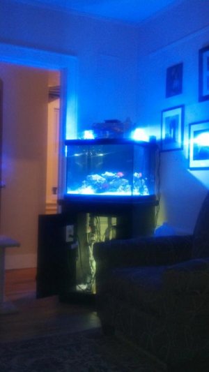 2012-06-16_22-43-17_315.jpg