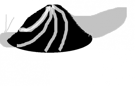 stomshell.png