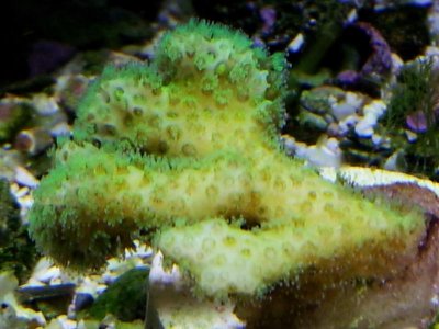 20120710_034037.jpg