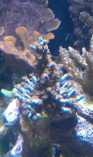 IMAG1066.jpg