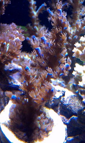 IMAG1123-1.jpg