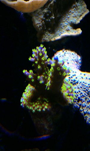IMAG1086-1.jpg