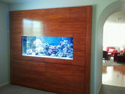 IMG_20120613_162849 (1).jpg