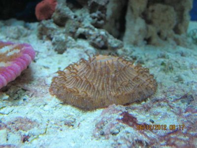 IMG_1271.jpg