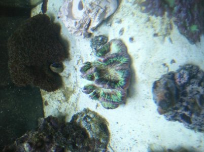photo-6.jpg