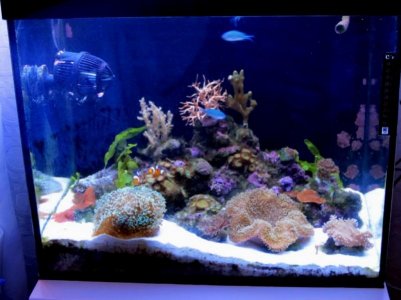 IMG_1751_1 [1024x768] [1024x768].jpg