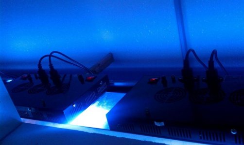 IMAG0171 (Large).jpg