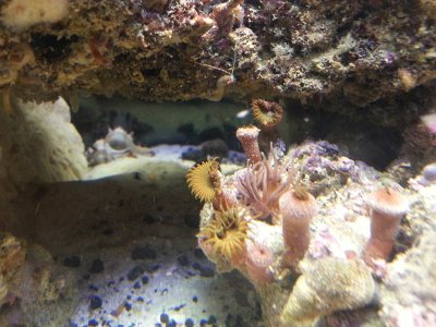 20120712_232444.jpg