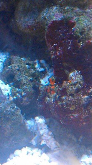 IMAG0598.jpg