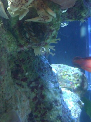 IMG_20120621_173735.jpg