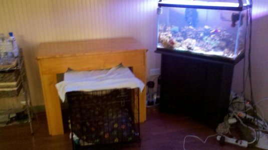 2012-07-14_09-36-53_812.jpg