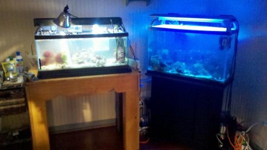 2012-07-14_19-21-03_348.jpg