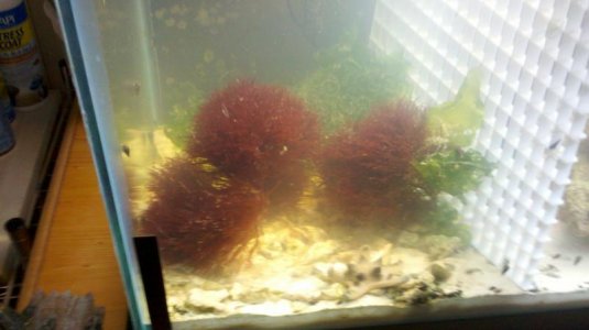2012-07-14_19-21-09_834.jpg