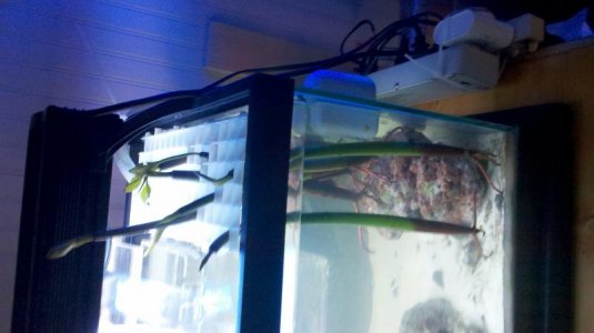 2012-07-14_19-21-16_85.jpg