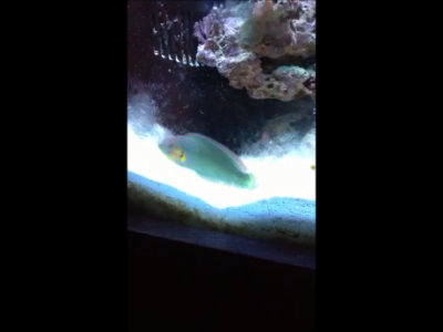 Snapshot 2 (7-19-2012 12-32 PM).png