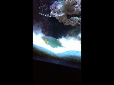 Snapshot 4 (7-19-2012 12-37 PM).jpg