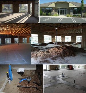 Fish room build collage 1.jpg