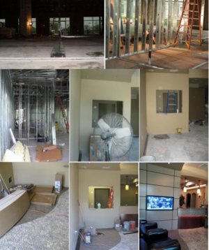 Fish room build collage 2.jpg
