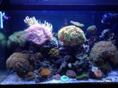 photo (2).jpg
