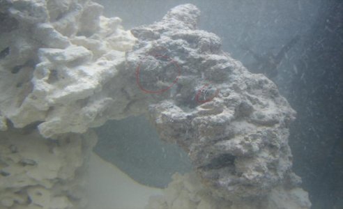 rock3.jpg