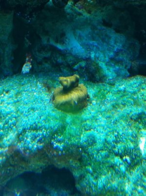 IMG_1083.jpg