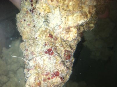 rock4.jpg