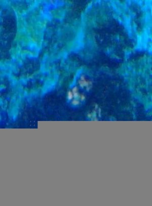 20120811_205648-1.jpg